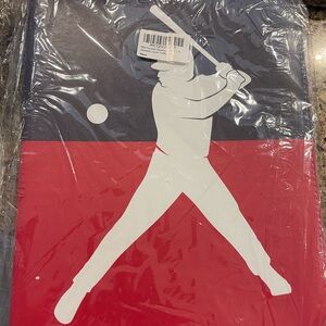 900 Pocket Baseball Card Protectors